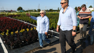 В Самаре обсудили содержание городских зеленых насаждений 