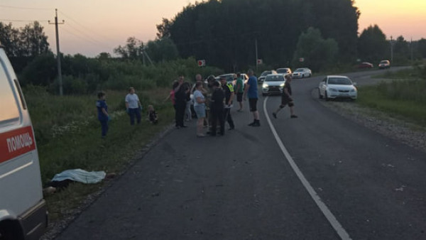 Полиция рассказала, как погибла женщина-велосипедист под Самарой