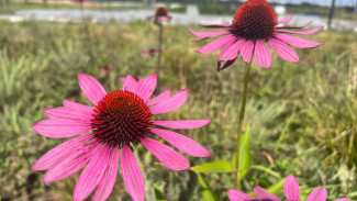 Кардиологи рассказали, как осень влияет на людей с заболеваниями сердца и сосудов