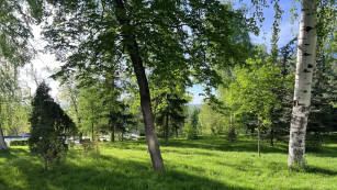 Самара зеленеет: в городе стартовала осенняя высадка деревьев