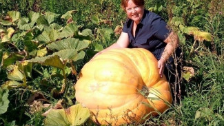 В Самарской области огородница вырастила пузатого монстра