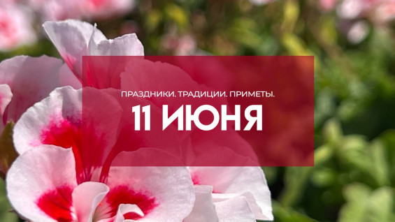 Народные приметы 11 июня: не делайте это на Феодосию Колосяницу, если не хотите навредить здоровью