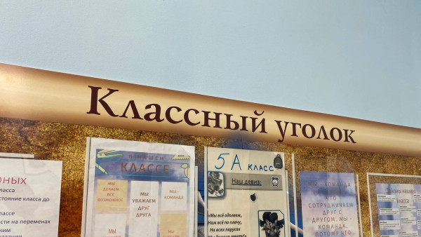 В Самаре уволили директора школы №34 в связи с утратой доверия