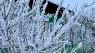 Федосеев день: почему 24 января наши предки не пускали кошек в дом
