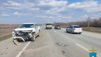 В Самарской области пикап насмерть сбил двух пони