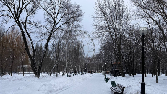 Самарцев ждет мороз до -20ºС: стоит одеваться теплее на рабочей неделе 