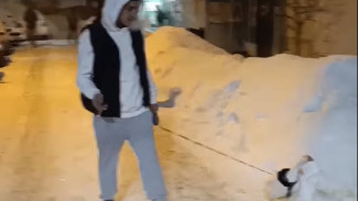 В Самаре мужчина выгуливает гуся на поводке