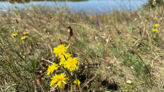 Народные приметы: 4 сентября. Не думайте об этом в Агафонов день, если хотите избежать беды