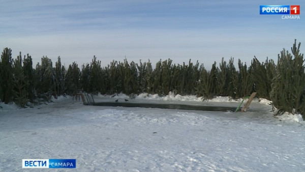 Снежная стихия и предстоящее Крещение Господне стали темами оперативного совещания в Правительстве региона