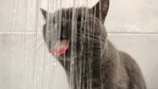 Несколько улиц Самары временно останутся без холодной воды 1 января