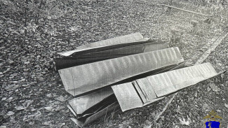 В Жигулёвске рецидивист пытался вывезти металл из нежилого здания