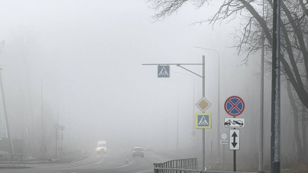 Свинцовый туман над Самарской областью: видимость на дорогах упадет до 500 метров 26 марта 