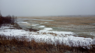 Народный календарь: 6 апреля. Артемон Дери Полоз заставит вас сделать это, чтобы спастись