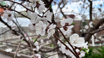 Самарцев в середине марта ждет аномально теплая погода  