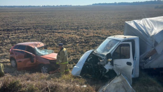 1 погибший и 2 пострадавших: подробности лобового ДТП под Самарой