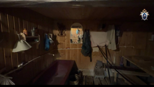 76-летнему жителю Самарской области продлили арест за убийство с расчленением