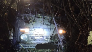 «Нива» с лосями: в Шенталинском районе задержаны браконьеры