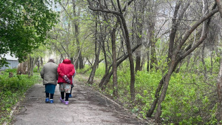 Самарцам рассказали, что происходит мозгом после 50 лет