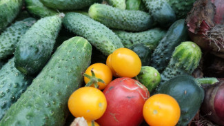 578 руб за кг: в Самаре резко подорожали овощи