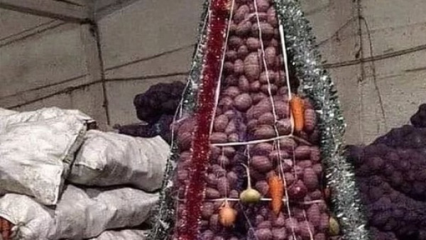 В Самарской области появилась новогодняя картофельная елка