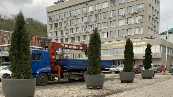 На Волжском проспекте в Самаре появились зеленеющие туи