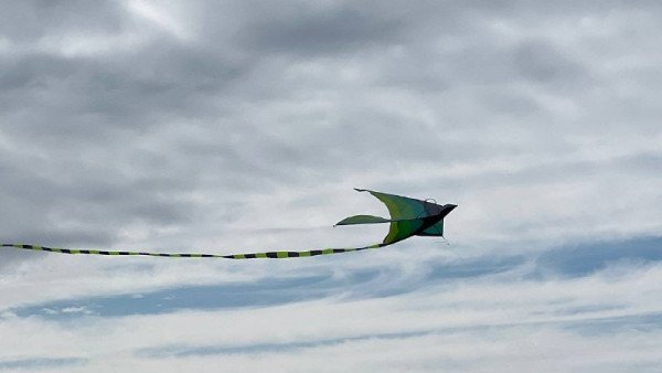 День Лукьяна Ветряка 2024: что можно и чего нельзя делать 16 июня, чтобы не обнищать