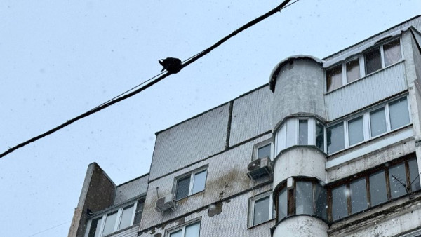 Самарцев предупредили о штрафах до 15 тыс за оставленный в подъезде мусор