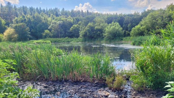 Суд запретил сливать опасные отходы в пруды под Самарой