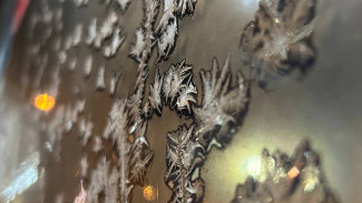 Народные приметы 18 февраля. Что нельзя делать в день Агафьи Скотницы, если не хотите лишиться главного 