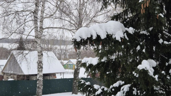 В Самарской области ввели карантин из-за очага смертельно опасного заболевания