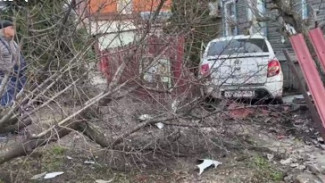 “Один в дерево, другой в забор”: в Тольятти произошло жестокое ДТП