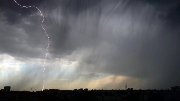 Мэр Самары отменил субботник, запланированный на 25 апреля 