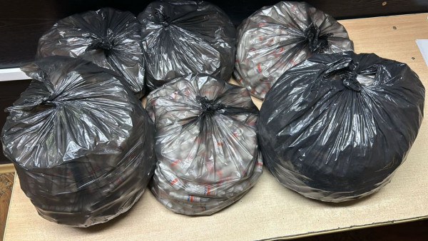 Самарские таможенники задержали иностранца с 19 кг запрещённых веществ