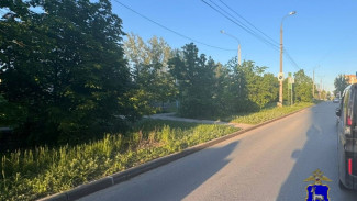 В Тольятти водитель сбил 8-летнюю девочку и скрылся