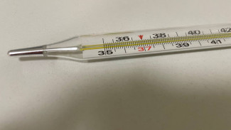 В Самарской области растет заболеваемость ОРВИ и гриппом 