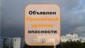 Оранжевый уровень опасности объявлен в Самарской области из-за ветра 27 апреля
