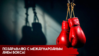 Международный день бокса 27 августа 2024: открытки и поздравления для настоящих бойцов