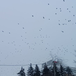 Хроника массовой атаки вражеских БПЛА на Самарскую область 11 марта