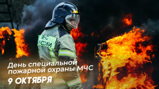 День специальной пожарной охраны МЧС 9 октября 2024 года: праздничные открытки, поздравления в прозе и стихах, СМС