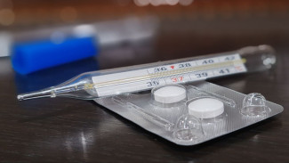 Роспотребнадзор опроверг сообщения о вспышках вируса Коксаки