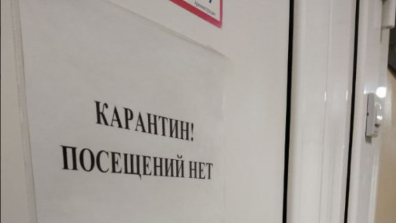 В крупном районе Самары введен карантин из-за очага смертельно опасного заболевания 