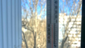 В Самарскую область придут заморозки до минус 3°C