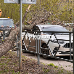 Появились кадры последствий штормового ветра в Самаре 27 апреля 