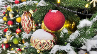 Самарский педиатр Светлана Гаршина рассказала, как уберечь ребенка от ОРВИ в новогодние праздники 