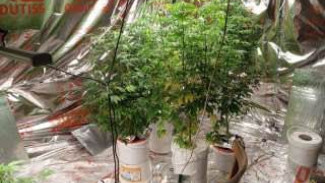 Трое мужчин задержаны в Самарской области за сбыт наркотиков 