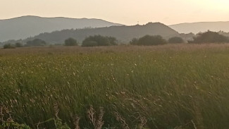 В Самарской области объявлена высокая погодная опасность с 10 по 16 сентября 