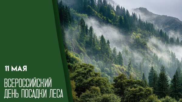 11 мая - Всероссийский день посадки леса: история, традиции и праздничные открытки
