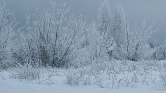 Народные приметы 21 февраля: Не делайте этого в день Захара Серповидца, чтобы не ушло благополучие из дома