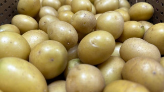 В Самарской области введут ГОСТ на чипсы с 1 апреля