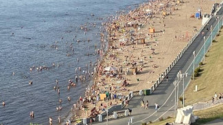 Жара отступает? С 8 июля в Самарской области будет дуть северный ветер